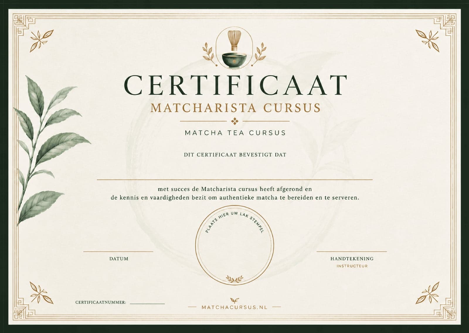 Matchacursus cursus certificaat