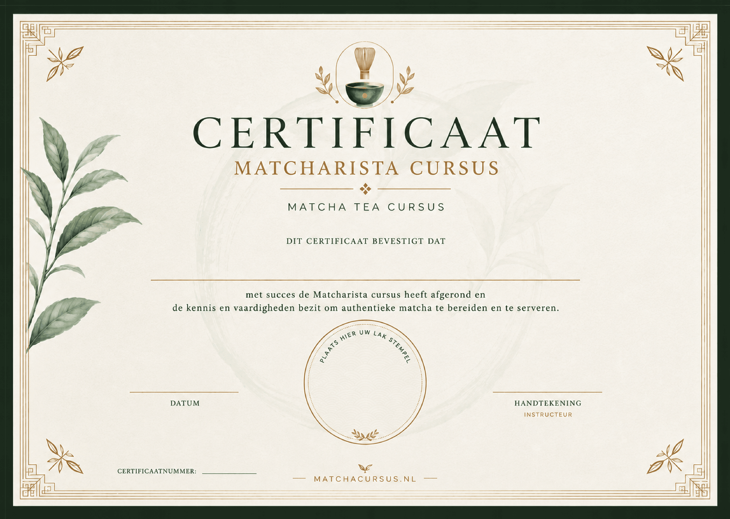 Matchacursus course completion certificate